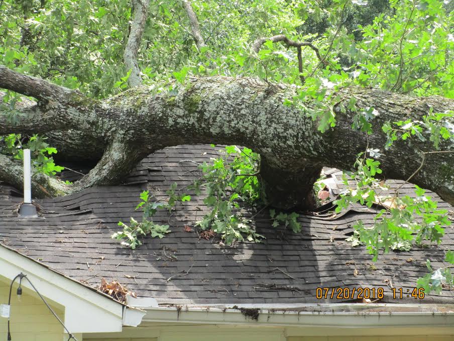 mcclure-residence-tree-damage